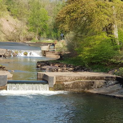 Conservation of Catrine Weir